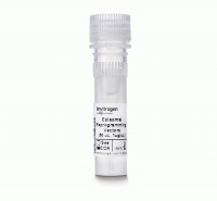 Episomal 非整合型附着体载体iPSC重编程载体 Episomal 非整合型附着体载体iPSC重编程载体